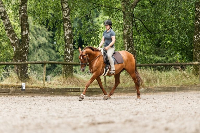 Über den Rücken reiten: Was bedeutet es und wie erreicht man es?